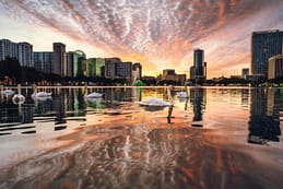 Reflections of Lake Eola Sunset over Lake Eola with swans in downtown Orlando, Florida.