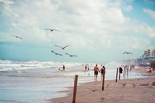 A nostalgic view of New Smyrna Beach with a couple strolling along the shoreline while seabirds soar overhead on a warm summer afternoon.