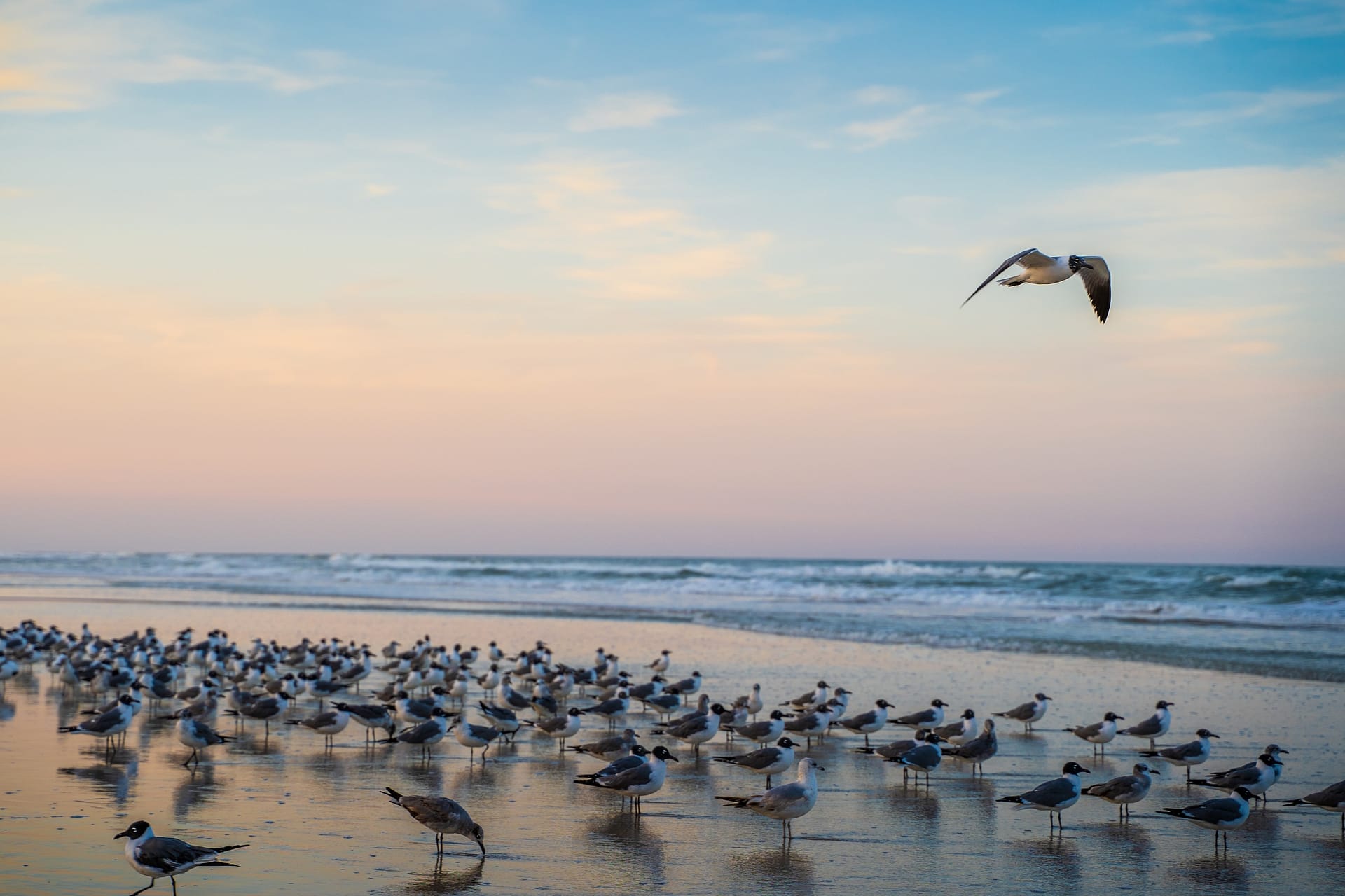 New Horizons fine art photography print